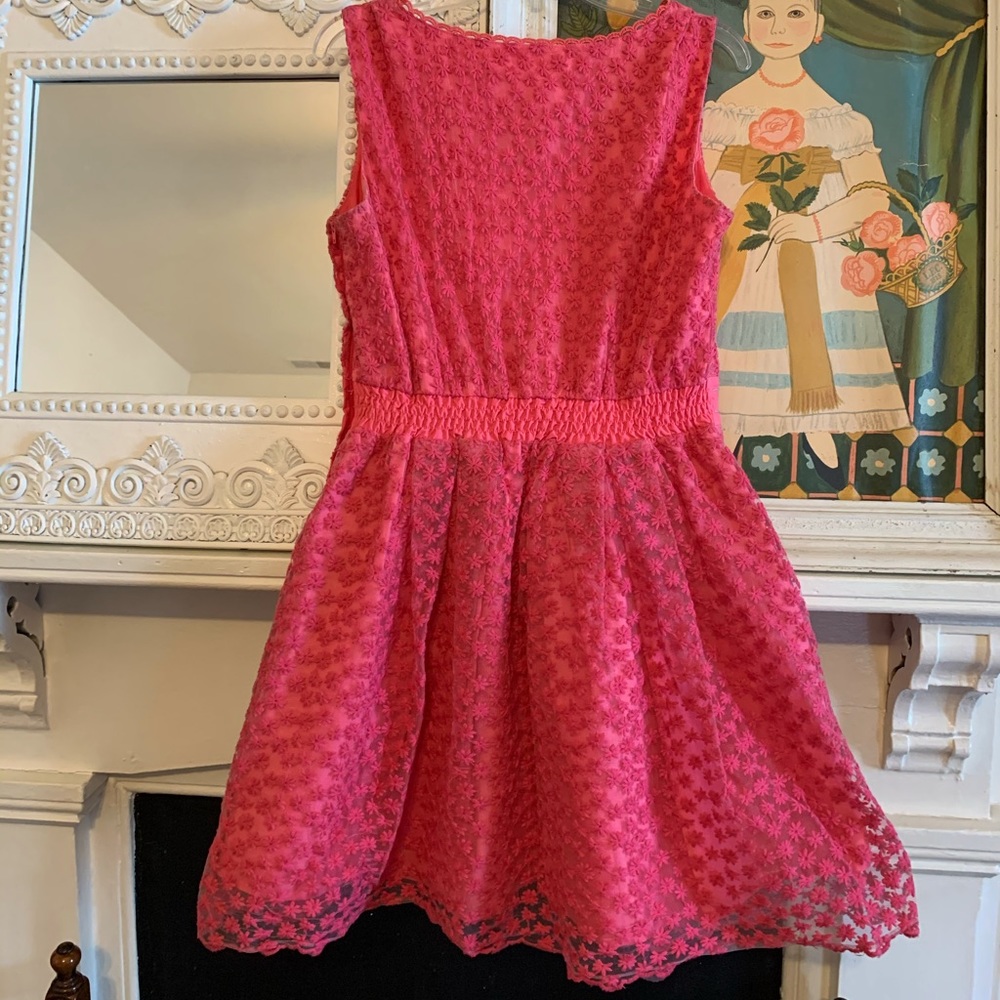 Pink Flower Mesh Overlay Vintage Inspired Dress